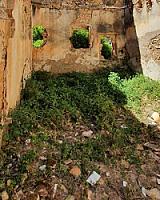 УГОДЬЯ С РУИНАМИ ПОД БАРСЕЛОНОЙ thumbnail 28