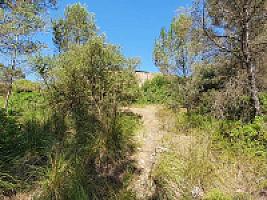 УГОДЬЯ С РУИНАМИ ПОД БАРСЕЛОНОЙ thumbnail 32