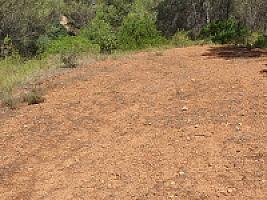 УГОДЬЯ С РУИНАМИ ПОД БАРСЕЛОНОЙ thumbnail 35