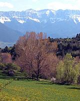 УСАДЬБА С УГОДЬЯМИ В ПИРЕНЕЯХ thumbnail 28