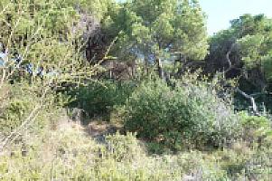 УЧАСТОК НА ПОБЕРЕЖЬЕ МАРЕСМЭ thumbnail 4