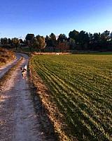 ГОСТИНИЦА С УГОДЬЯМИ В АРАГОНЕ thumbnail 3