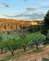 ГОСТИНИЦА С УГОДЬЯМИ В АРАГОНЕ thumbnail 5