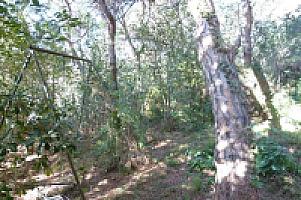 УЧАСТОК НА ПОБЕРЕЖЬЕ МАРЕСМЭ thumbnail 16