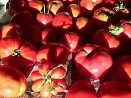 ГОСТИНИЦА С УГОДЬЯМИ В АРАГОНЕ thumbnail 51