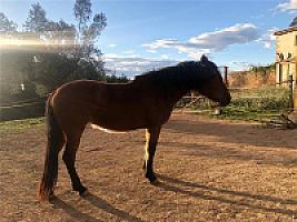 ГОСТИНИЦА С УГОДЬЯМИ В АРАГОНЕ thumbnail 58