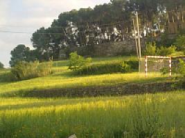 ПОМЕСТЬЕ ПОД ТАРРАГОНОЙ thumbnail 13