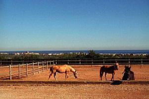 УСАДЬБА НА ПОБЕРЕЖЬЕ КОСТА ДОРАДА thumbnail 1