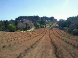 ПОМЕСТЬЕ ПОД ТАРРАГОНОЙ thumbnail 21