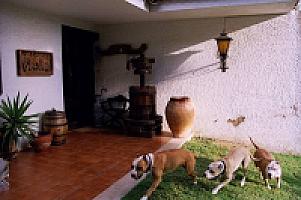 УСАДЬБА НА ПОБЕРЕЖЬЕ КОСТА ДОРАДА thumbnail 32