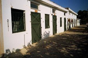 УСАДЬБА НА ПОБЕРЕЖЬЕ КОСТА ДОРАДА thumbnail 40