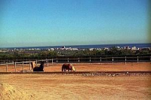 УСАДЬБА НА ПОБЕРЕЖЬЕ КОСТА ДОРАДА thumbnail 46