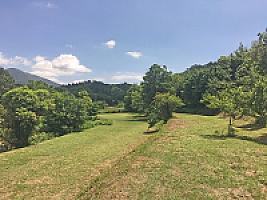 УСАДЬБА НА ПОБЕРЕЖЬЕ МАРЕСМЭ thumbnail 52