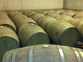 ВИНОДЕЛЬНЯ В ИСПАНИИ thumbnail 1