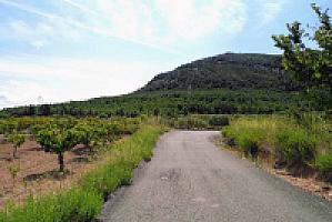 УСАДЬБА С УГОДЬЯМИ ПОД ТАРРАГОНОЙ thumbnail 60