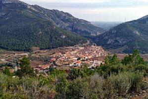 УСАДЬБА С УГОДЬЯМИ ПОД ТАРРАГОНОЙ thumbnail 61