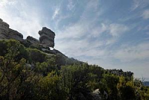 УСАДЬБА С УГОДЬЯМИ ПОД ТАРРАГОНОЙ thumbnail 66