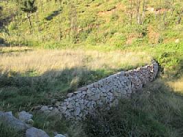 УСАДЬБА С УГОДЬЯМИ В ПРЕДПИРЕНЕЯХ thumbnail 20