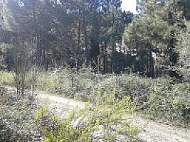 УГОДЬЯ С УСАДЬБАМИ В ПРОВИНЦИИ ЖИРОНА thumbnail 10