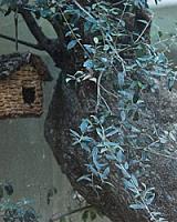 ГОСТИНИЦА В ПРОВИНЦИИ ТАРРАГОНА thumbnail 16