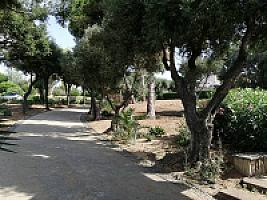 УСАДЬБА У МОРЯ ПОД БАРСЕЛОНОЙ thumbnail 8