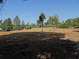 УСАДЬБА У МОРЯ ПОД БАРСЕЛОНОЙ thumbnail 34