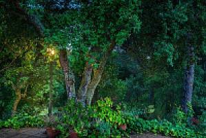 ВИЛЛА С БАССЕЙНОМ ПОД ЖИРОНОЙ thumbnail 36