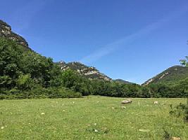 УГОДЬЯ В ПРЕДПИРЕНЕЯХ thumbnail 12