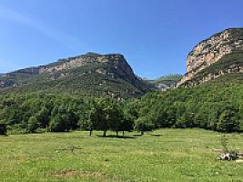 УГОДЬЯ В ПРЕДПИРЕНЕЯХ thumbnail 13