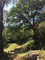 УГОДЬЯ В ПРЕДПИРЕНЕЯХ thumbnail 17