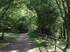 УГОДЬЯ В ПРЕДПИРЕНЕЯХ thumbnail 22