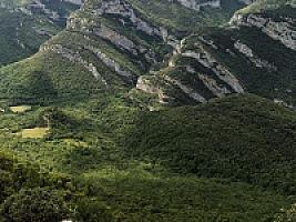 УГОДЬЯ В ПРЕДПИРЕНЕЯХ thumbnail 28