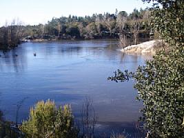 ПОМЕСТЬЕ ПОД ЖИРОНОЙ thumbnail 60