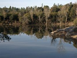 ПОМЕСТЬЕ ПОД ЖИРОНОЙ thumbnail 61