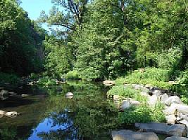 УСАДЬБА С УГОДЬЯМИ В ПРОЖИНЦИИ ЖИРОНА thumbnail 53