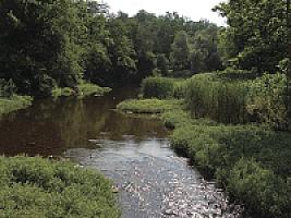 УСАДЬБА С УГОДЬЯМИ В ПРОЖИНЦИИ ЖИРОНА thumbnail 54