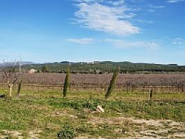 С/Х УГОДЬЯ С ДОМОМ В ПРОВИНЦИИ ТАРРАГОНА thumbnail 3