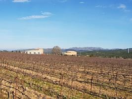 С/Х УГОДЬЯ С ДОМОМ В ПРОВИНЦИИ ТАРРАГОНА thumbnail 8