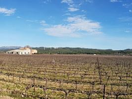 С/Х УГОДЬЯ С ДОМОМ В ПРОВИНЦИИ ТАРРАГОНА thumbnail 9