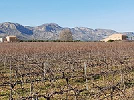 С/Х УГОДЬЯ С ДОМОМ В ПРОВИНЦИИ ТАРРАГОНА thumbnail 10