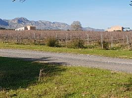 С/Х УГОДЬЯ С ДОМОМ В ПРОВИНЦИИ ТАРРАГОНА thumbnail 11