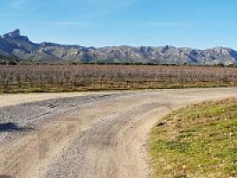 С/Х УГОДЬЯ С ДОМОМ В ПРОВИНЦИИ ТАРРАГОНА thumbnail 13