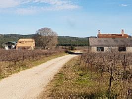 С/Х УГОДЬЯ С ДОМОМ В ПРОВИНЦИИ ТАРРАГОНА thumbnail 14