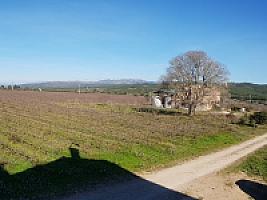 С/Х УГОДЬЯ С ДОМОМ В ПРОВИНЦИИ ТАРРАГОНА thumbnail 16