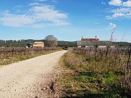 С/Х УГОДЬЯ С ДОМОМ В ПРОВИНЦИИ ТАРРАГОНА thumbnail 23