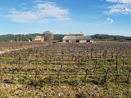 С/Х УГОДЬЯ С ДОМОМ В ПРОВИНЦИИ ТАРРАГОНА thumbnail 31