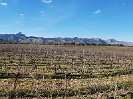 С/Х УГОДЬЯ С ДОМОМ В ПРОВИНЦИИ ТАРРАГОНА thumbnail 59