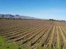 С/Х УГОДЬЯ С ДОМОМ В ПРОВИНЦИИ ТАРРАГОНА thumbnail 60