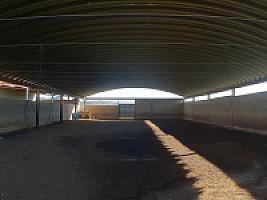 С/Х УГОДЬЯ С ДОМОМ В ПРОВИНЦИИ ТАРРАГОНА thumbnail 65