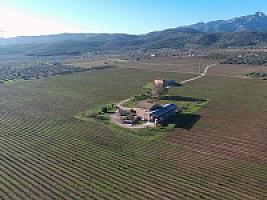 С/Х УГОДЬЯ С ДОМОМ В ПРОВИНЦИИ ТАРРАГОНА thumbnail 72